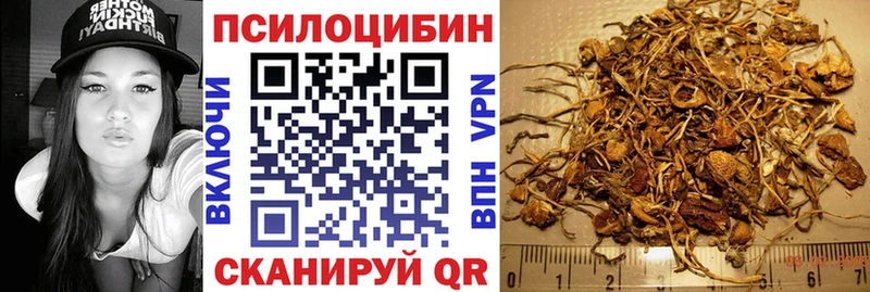 Галлюциногенные грибы Psilocybe Кувандык