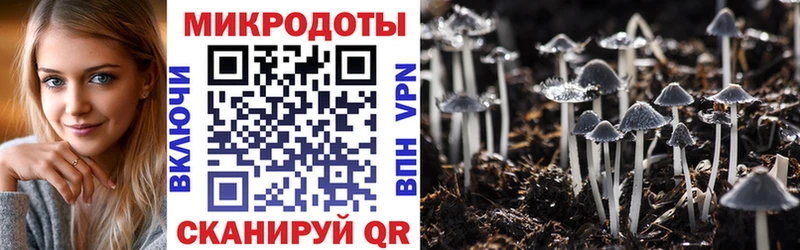 Купить закладки  Кувандык  Псилоцибиновые грибы мухоморы 